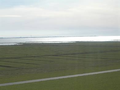 Blick über die Salzwiesen nach Cuxhaven.